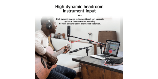 Interface Audio FBS UX22