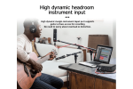 Interface Audio FBS UX22
